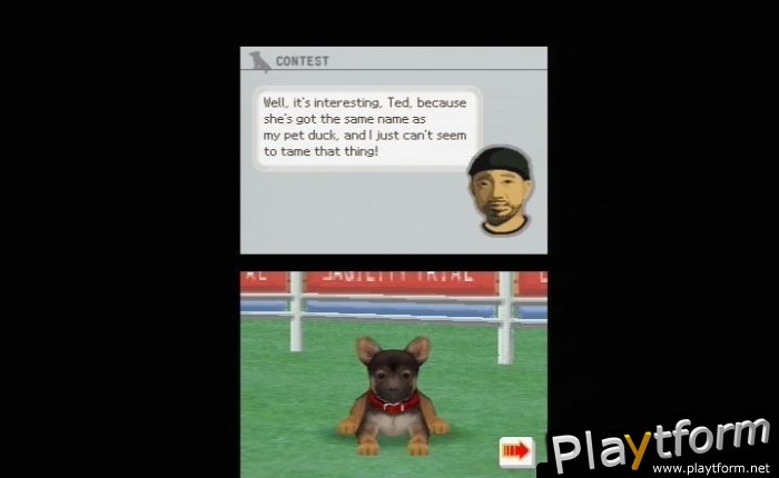 Nintendogs: Chihuahua and Friends (DS)
