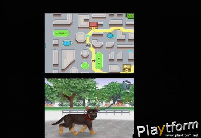 Nintendogs: Chihuahua and Friends (DS)