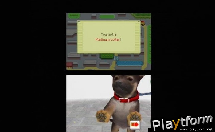 Nintendogs: Chihuahua and Friends (DS)