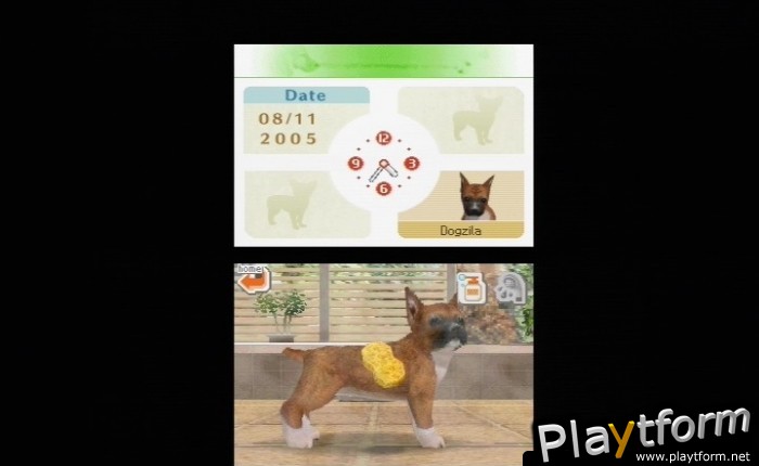 Nintendogs: Chihuahua and Friends (DS)