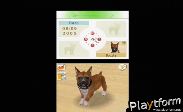 Nintendogs: Chihuahua and Friends (DS)