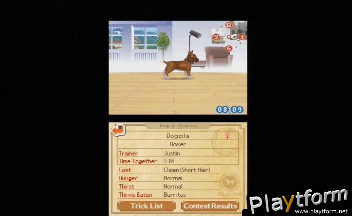 Nintendogs: Chihuahua and Friends (DS)