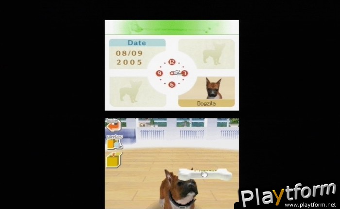 Nintendogs: Chihuahua and Friends (DS)