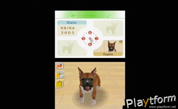 Nintendogs: Chihuahua and Friends (DS)