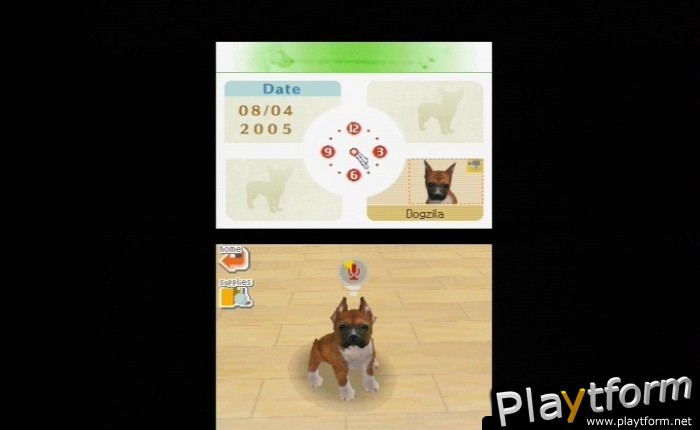 Nintendogs: Chihuahua and Friends (DS)