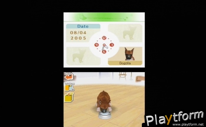Nintendogs: Chihuahua and Friends (DS)
