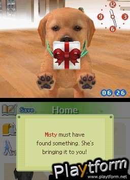 Nintendogs: Chihuahua and Friends (DS)