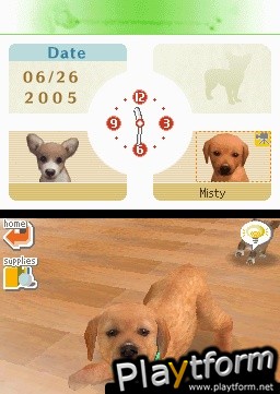 Nintendogs: Chihuahua and Friends (DS)