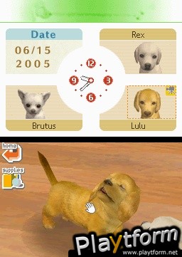 Nintendogs: Chihuahua and Friends (DS)