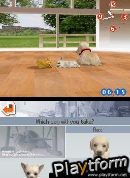 Nintendogs: Chihuahua and Friends (DS)