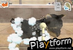 Nintendogs: Chihuahua and Friends (DS)
