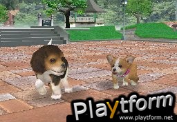 Nintendogs: Chihuahua and Friends (DS)