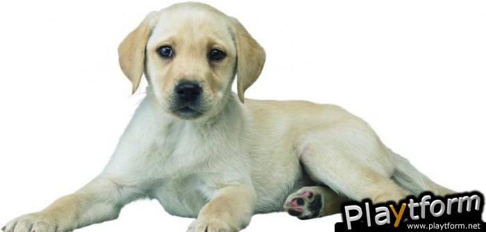 Nintendogs: Chihuahua and Friends (DS)