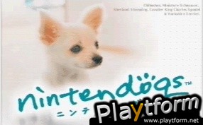 Nintendogs: Chihuahua and Friends (DS)