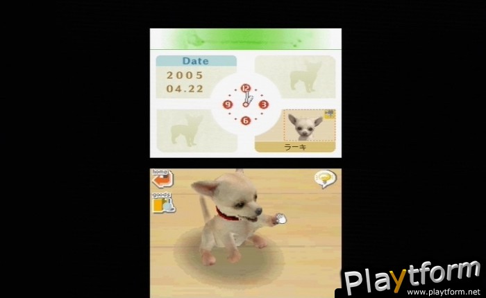 Nintendogs: Chihuahua and Friends (DS)