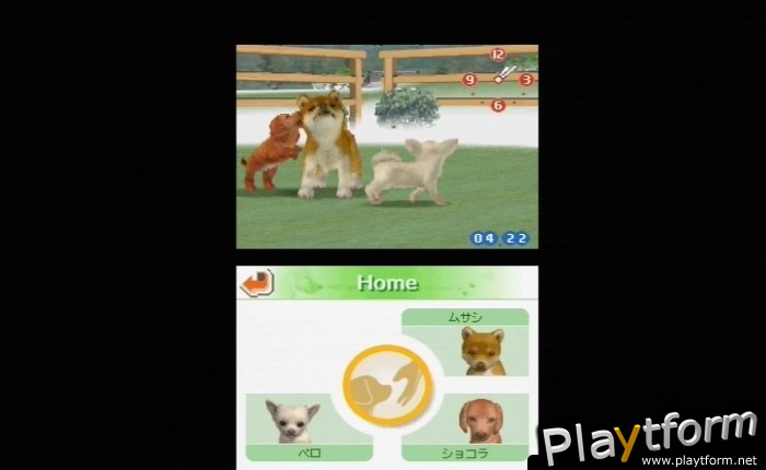Nintendogs: Chihuahua and Friends (DS)