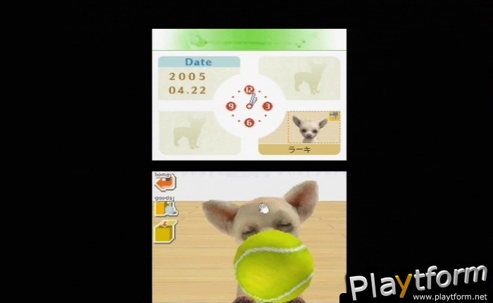 Nintendogs: Chihuahua and Friends (DS)