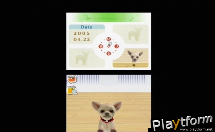 Nintendogs: Chihuahua and Friends (DS)