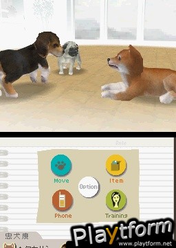 Nintendogs: Chihuahua and Friends (DS)