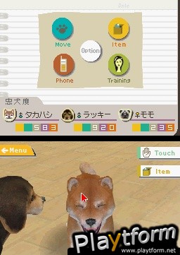 Nintendogs: Chihuahua and Friends (DS)