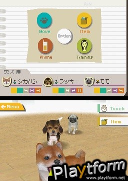 Nintendogs: Chihuahua and Friends (DS)