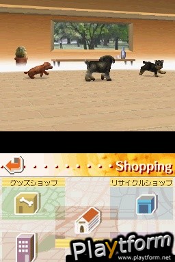 Nintendogs: Chihuahua and Friends (DS)