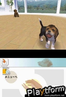 Nintendogs: Chihuahua and Friends (DS)