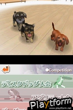 Nintendogs: Chihuahua and Friends (DS)
