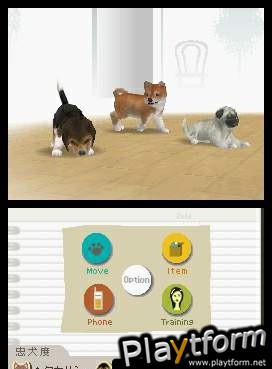 Nintendogs: Chihuahua and Friends (DS)