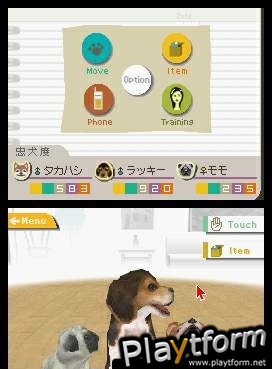 Nintendogs: Chihuahua and Friends (DS)