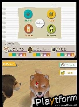 Nintendogs: Chihuahua and Friends (DS)