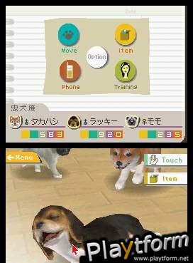 Nintendogs: Chihuahua and Friends (DS)