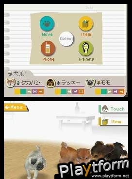 Nintendogs: Chihuahua and Friends (DS)