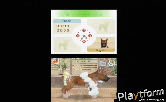 Nintendogs: Labrador and Friends (DS)