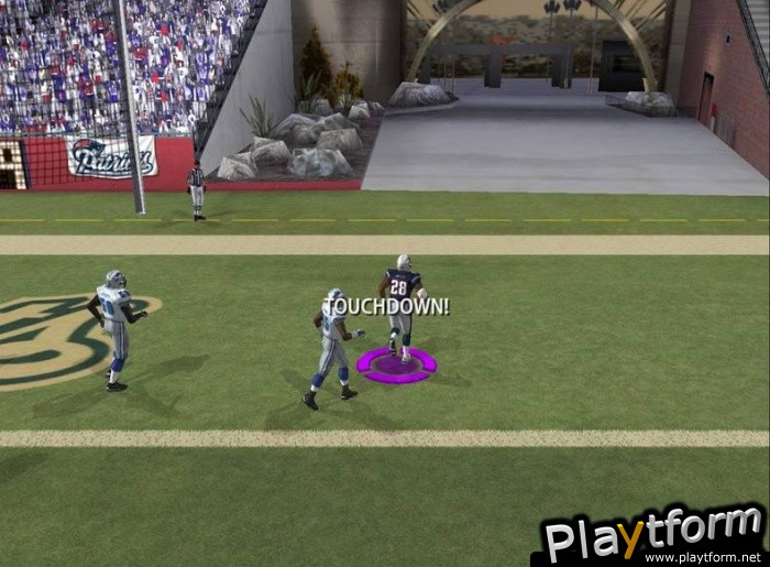 Madden NFL 06 (PC)