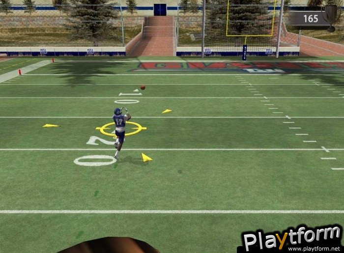 Madden NFL 06 (PC)