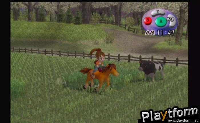 Harvest Moon: Another Wonderful Life (GameCube)