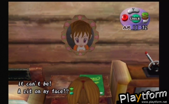 Harvest Moon: Another Wonderful Life (GameCube)