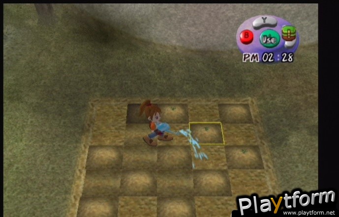 Harvest Moon: Another Wonderful Life (GameCube)