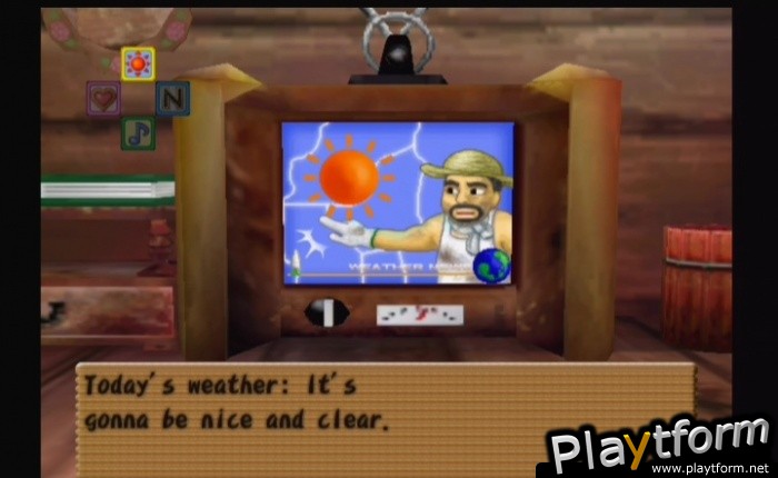 Harvest Moon: Another Wonderful Life (GameCube)