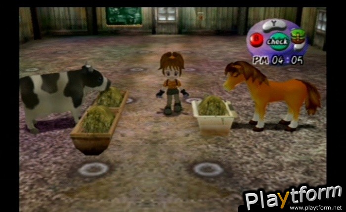 Harvest Moon: Another Wonderful Life (GameCube)