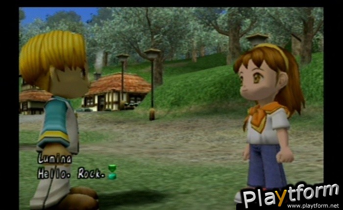 Harvest Moon: Another Wonderful Life (GameCube)