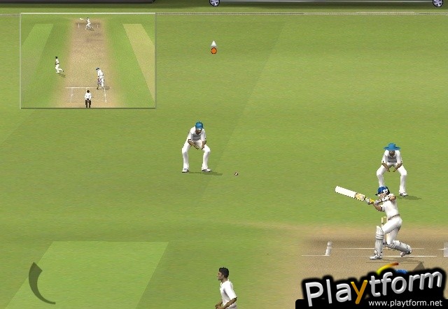 Brian Lara International Cricket 2005 (PlayStation 2)
