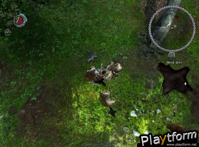 The Bard's Tale (PC)
