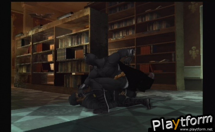 Batman Begins (PlayStation 2)