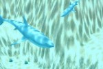 Marine Park Empire (PC)