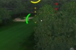 Tiger Woods PGA Tour 06 (GameCube)