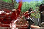 Ninja Gaiden Black (Xbox)