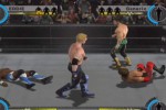 WWE Day of Reckoning 2 (GameCube)