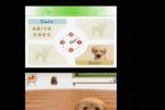 Nintendogs: Dachshund and Friends (DS)